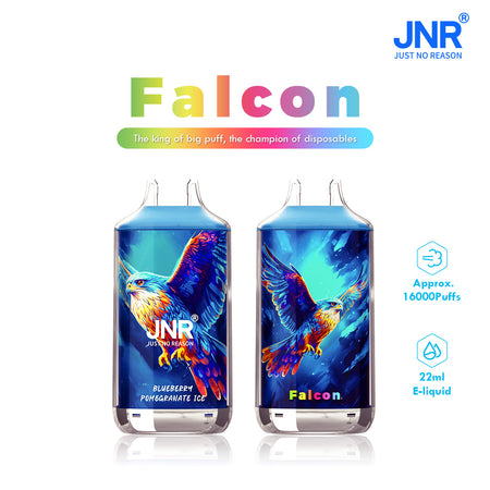 Carton de 10 Puffs JNR 16K – 160 000 bouffées