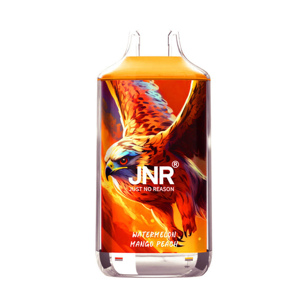 Carton de 10 Puffs JNR 16K – 160 000 bouffées